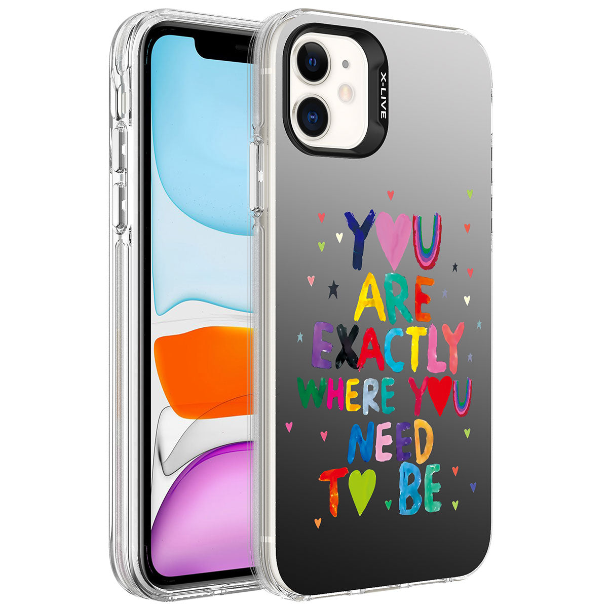 Apple iPhone 12 Kılıf Desenli Zore Silver Sert Kapak You