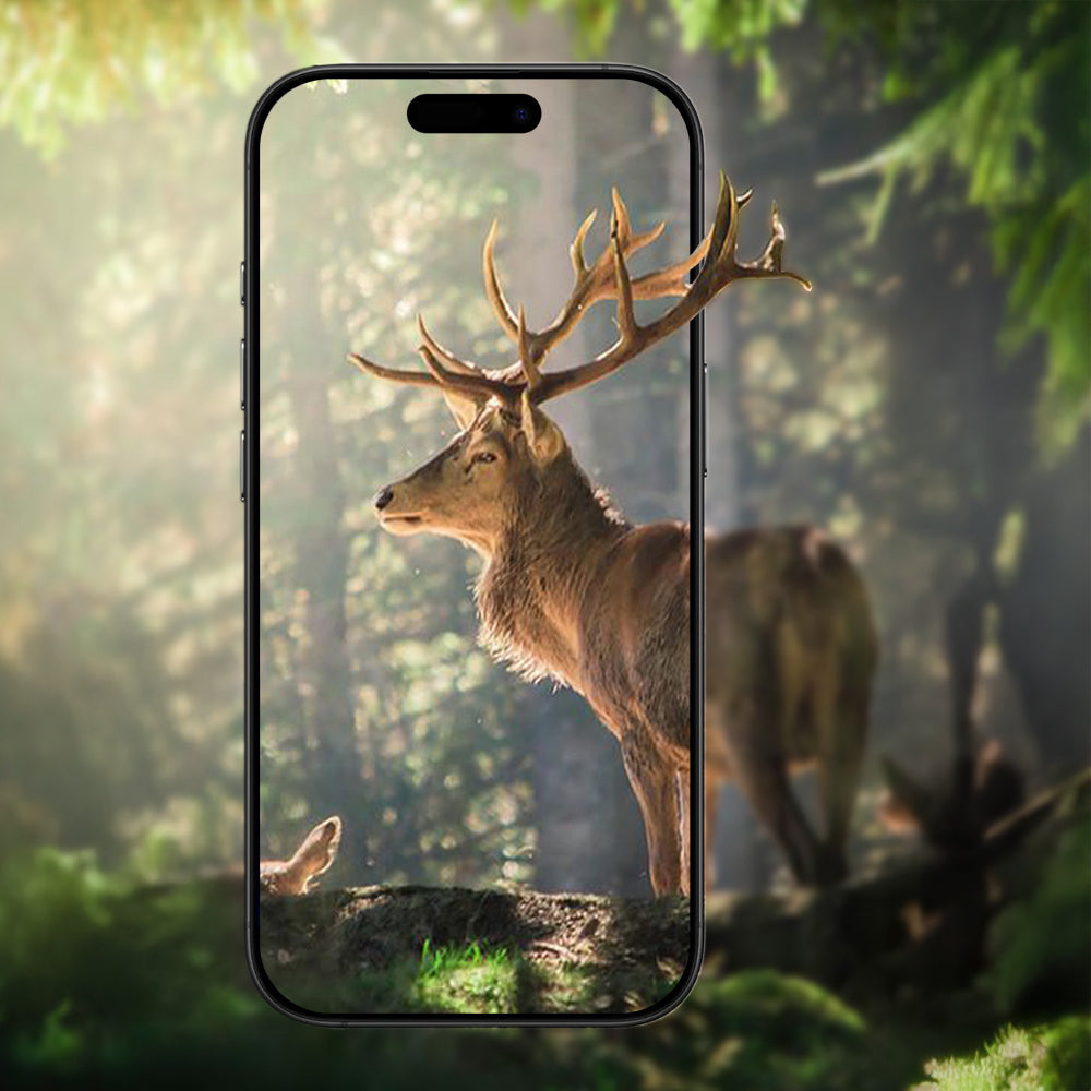 Apple iPhone 17 Zore Mikro Kamera Lens Koruyucu Siyah