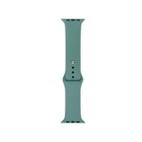Apple Watch 40mm Band Serisi Klasik Kordon Silikon Strap Kayış Cactus