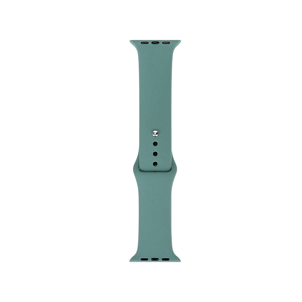 Apple Watch 7 41mm Band Serisi Klasik Kordon Silikon Strap Kayış Cactus