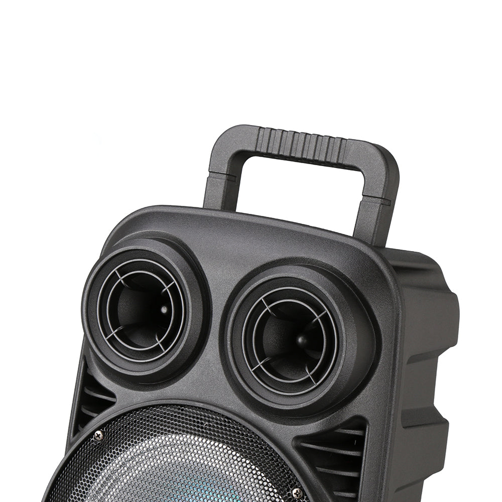 Zore PK-15 FM Radyolu Mikrofonlu RGB TWS 8 inç Stereo Bass Kablosuz Karaoke Hoparlör Siyah