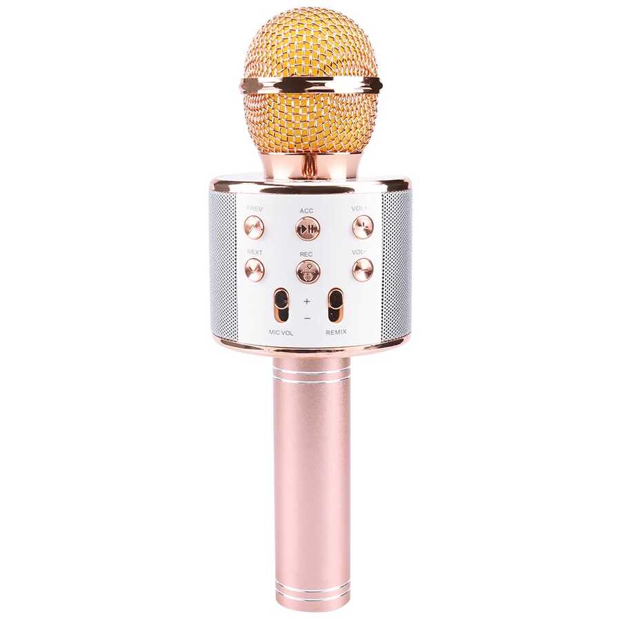 Zore WS-858 Karaoke Mikrofon Mavi