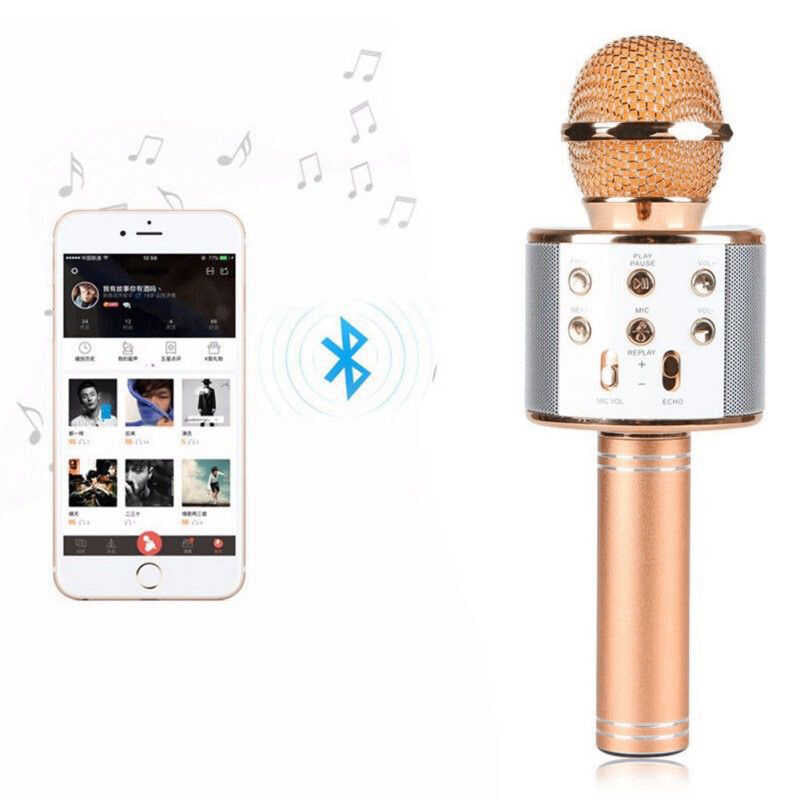 Zore WS-858 Karaoke Mikrofon Mavi