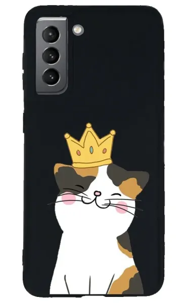 Samsung S21 Lansman Kılıf - Kedi